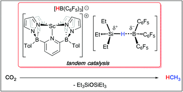 Graphical abstract: Tandem deoxygenative hydrosilation of carbon dioxide with a cationic scandium hydridoborate and B(C6F5)3