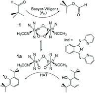 Graphical abstract: Functional models of nonheme diiron enzymes: reactivity of the μ-oxo-μ-1,2-peroxo-diiron(iii) intermediate in electrophilic and nucleophilic reactions