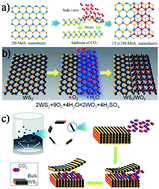 Graphical abstract: CO2-assisted fabrication of two-dimensional amorphous transition metal oxides