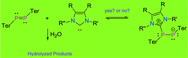 Graphical abstract: Influence of N-heterocyclic carbenes (NHCs) on the hydrolysis of a diphosphene