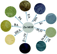 Graphical abstract: A novel viologen-based coordination polymer with multi-stimuli responsive chromic properties: photochromism, thermochromism, chemochromism and electrochromism