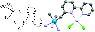 Graphical abstract: Metal coordination to bipyridyl carbynes