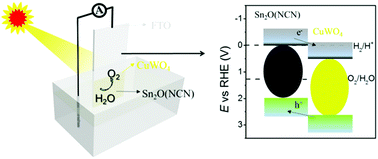 Graphical abstract: Increased photocurrent of CuWO4 photoanodes by modification with the oxide carbodiimide Sn2O(NCN)