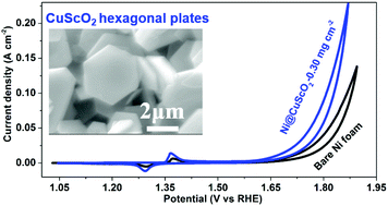 Graphical abstract: Hydrothermal synthesis of delafossite CuScO2 hexagonal plates as an electrocatalyst for the alkaline oxygen evolution reaction