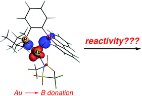 Graphical abstract: Understanding the role of frustrated Lewis pairs as ligands in transition metal-catalyzed reactions