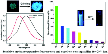 Graphical abstract: Naphthalimide-containing coordination polymer with mechanoresponsive luminescence and excellent metal ion sensing properties