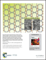 Graphical abstract: Inside back cover