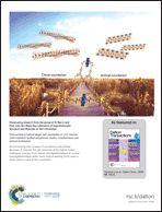 Graphical abstract: Back cover