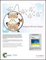 Graphical abstract: Back cover