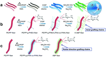 Graphical abstract: 3D hierarchical porous amidoxime fibers speed up uranium extraction from seawater