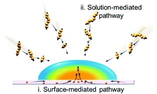 Graphical abstract: Current-density dependence of Li2S/Li2S2 growth in lithium–sulfur batteries