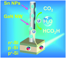 Graphical abstract: A GaN:Sn nanoarchitecture integrated on a silicon platform for converting CO2 to HCOOH by photoelectrocatalysis