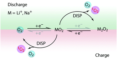 Graphical abstract: Singlet oxygen from cation driven superoxide disproportionation and consequences for aprotic metal–O2 batteries