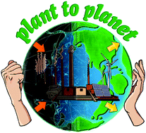 Graphical abstract: Plant-to-planet analysis of CO2-based methanol processes