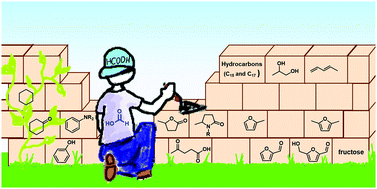 Graphical abstract: Formic acid, a biomass-derived source of energy and hydrogen for biomass upgrading