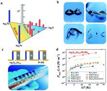 Graphical abstract: Flexible thermoelectrics: from silver chalcogenides to full-inorganic devices