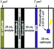 Graphical abstract: Comment on “Unbiased solar H2 production with current density up to 23 mA cm−2 by Swiss-cheese black Si coupled with wastewater bioanode” by L. Lu, W. Vakki, J. A. Aguiar, C. Xiao, K. Hurst, M. Fairchild, X. Chen, F. Yang, J. Gu and Z. J. Ren, Energy Environ. Sci., 2019, 12, 1088