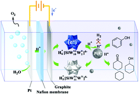 Graphical abstract: High-efficiency electrochemical hydrodeoxygenation of bio-phenols to hydrocarbon fuels by a superacid-noble metal particle dual-catalyst system