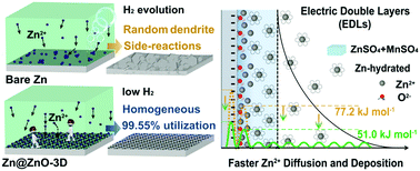 Graphical abstract: Manipulating the ion-transfer kinetics and interface stability for high-performance zinc metal anodes