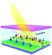 Graphical abstract: Device physics of back-contact perovskite solar cells