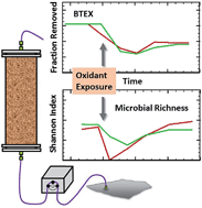 Graphical abstract: Response of sulfate-reducing bacteria and supporting microbial community to persulfate exposure in a continuous flow system