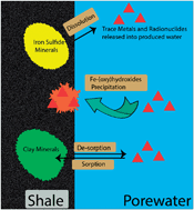 Graphical abstract: Geochemical conditions conducive for retention of trace elements and radionuclides during shale–fluid interactions