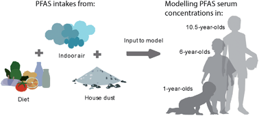 Graphical abstract: Children's exposure to perfluoroalkyl acids – a modelling approach