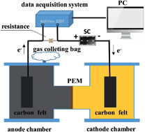 Graphical abstract: The effects of microbial fuel cells coupled with solar cells under intermittent illumination on sediment remediation