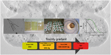 Graphical abstract: Toxicity of innovative anti-fouling nano-based solutions to marine species