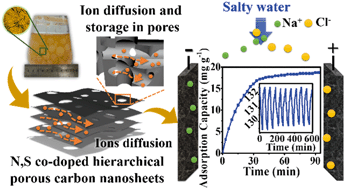 Graphical abstract: Mycelial pellet-derived heteroatom-doped carbon nanosheets with a three-dimensional hierarchical porous structure for efficient capacitive deionization