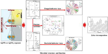 Graphical abstract: Does artificial light at night change the impact of silver nanoparticles on microbial decomposers and leaf litter decomposition in streams?