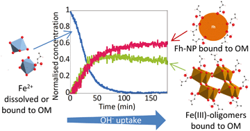 Graphical abstract: Iron speciation in iron–organic matter nanoaggregates: a kinetic approach coupling Quick-EXAFS and MCR-ALS chemometrics