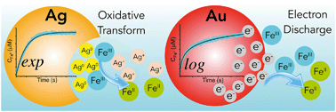 Graphical abstract: Ferric reducing reactivity assay with theoretical kinetic modeling uncovers electron transfer schemes of metallic-nanoparticle-mediated redox in water solutions