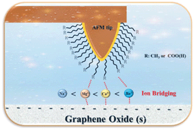 Graphical abstract: Ion effects on molecular interaction between graphene oxide and organic molecules