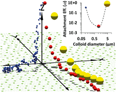 Graphical abstract: How nanoscale surface heterogeneity impacts transport of nano- to micro-particles on surfaces under unfavorable attachment conditions