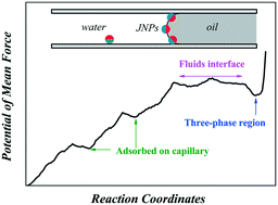 Graphical abstract: Transportation of Janus nanoparticles in confined nanochannels: a molecular dynamics simulation