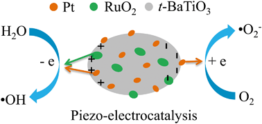 Graphical abstract: Enhancement and mechanism of nano-BaTiO3 piezocatalytic degradation of tricyclazole by co-loading Pt and RuO2