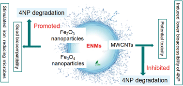 Graphical abstract: Effects of typical engineered nanomaterials on 4-nonylphenol degradation in river sediment: based on bacterial community and function analysis