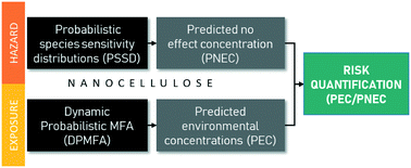 Graphical abstract: Prospective environmental risk assessment of nanocellulose for Europe