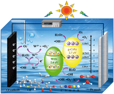 Graphical abstract: A novel Fe-free photo-electro-Fenton-like system for enhanced ciprofloxacin degradation: bifunctional Z-scheme WO3/g-C3N4