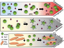 Graphical abstract: Understanding the stability of nanoplastics in aqueous environments: effect of ionic strength, temperature, dissolved organic matter, clay, and heavy metals