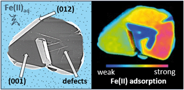 Graphical abstract: Facet-selective adsorption of Fe(ii) on hematite visualized by nanoscale secondary ion mass spectrometry