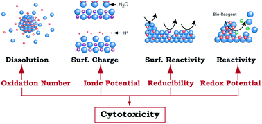 Graphical abstract: Assessment of cytotoxicity of metal oxide nanoparticles on the basis of fundamental physical–chemical parameters: a robust approach to grouping