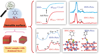 Graphical abstract: Insights into the facet-dependent adsorption of phenylarsonic acid on hematite nanocrystals