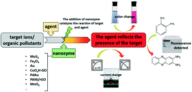 Graphical abstract: Applications of nanozymes in the environment