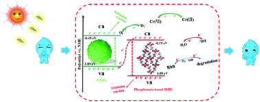 Graphical abstract: Construction of novel phosphonate-based MOF/P–TiO2 heterojunction photocatalysts: enhanced photocatalytic performance and mechanistic insight