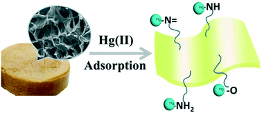 Graphical abstract: Novel polyethyleneimine functionalized chitosan–lignin composite sponge with nanowall-network structures for fast and efficient removal of Hg(ii) ions from aqueous solution