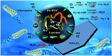 Graphical abstract: Micromotor-assisted highly efficient Fenton catalysis by a laccase/Fe-BTC-NiFe2O4 nanozyme hybrid with a 3D hierarchical structure