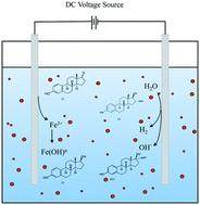 Graphical abstract: Removal of estrogenic compounds via iron electrocoagulation: impact of water quality and assessment of removal mechanisms