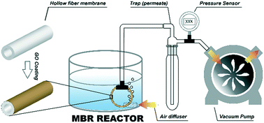 Graphical abstract: Antifouling UV-treated GO/PES hollow fiber membranes in a membrane bioreactor (MBR)